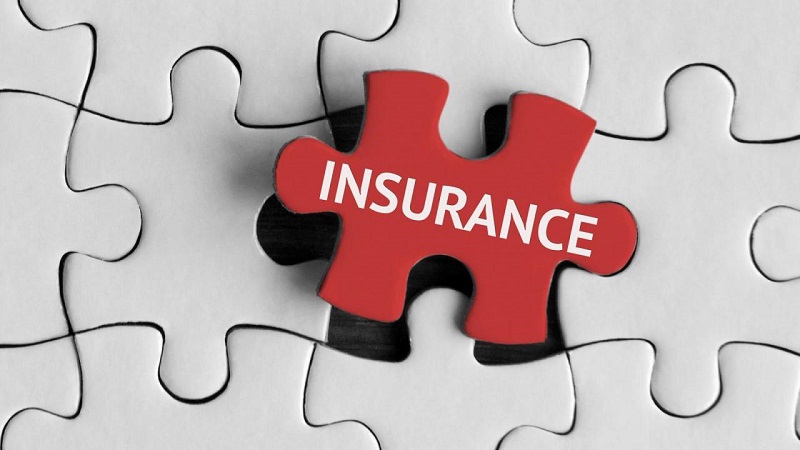 Insurance For Caregivers Who Service In United States